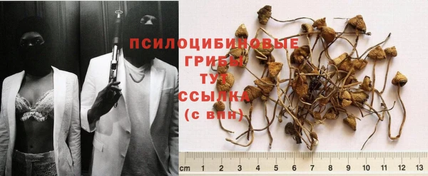 герыч Алексин