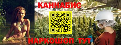 прущие грибы Гусиноозёрск