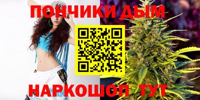 прущие грибы Гусиноозёрск