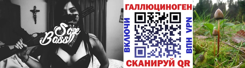 цена   Чистополь  blacksprut как войти  Псилоцибиновые грибы Magic Shrooms 