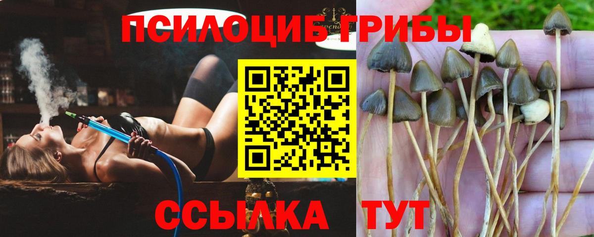 Чистополь  Галлюциногенные грибы Magic Shrooms  Псилоцибиновые грибы MAGIC MUSHROOMS  Вход с VPN 